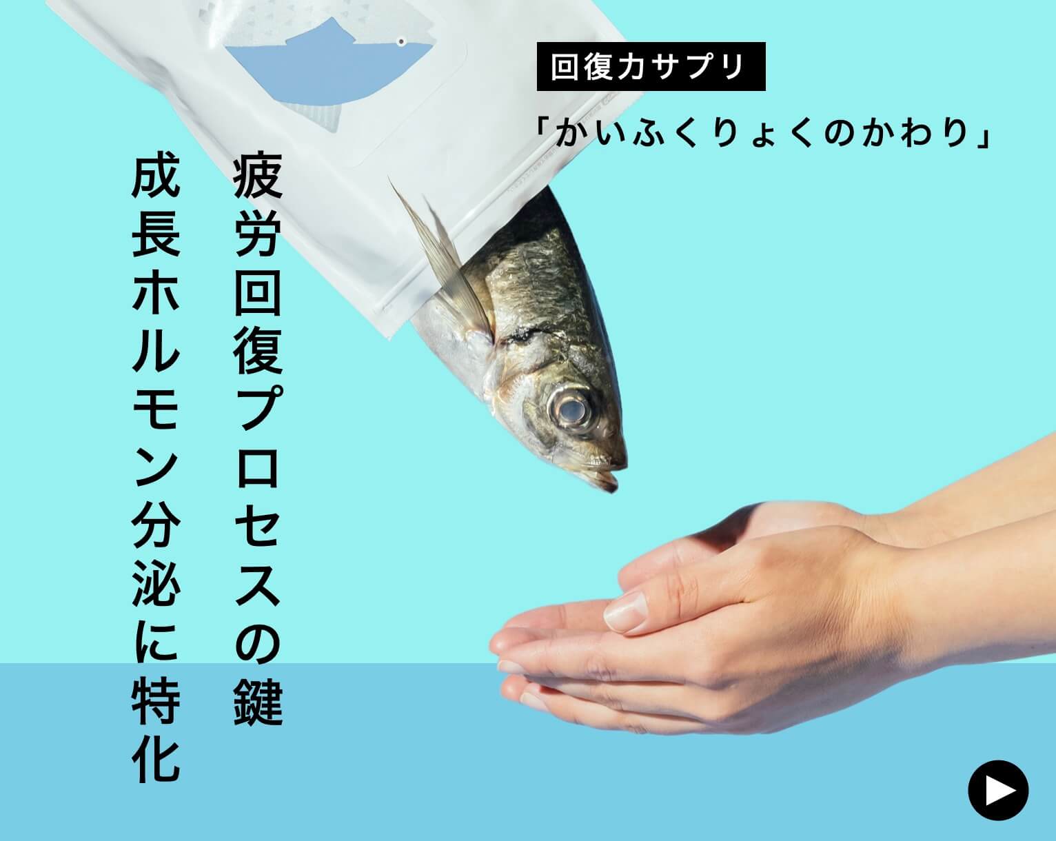 回復力サプリかいふくりょくのかわり