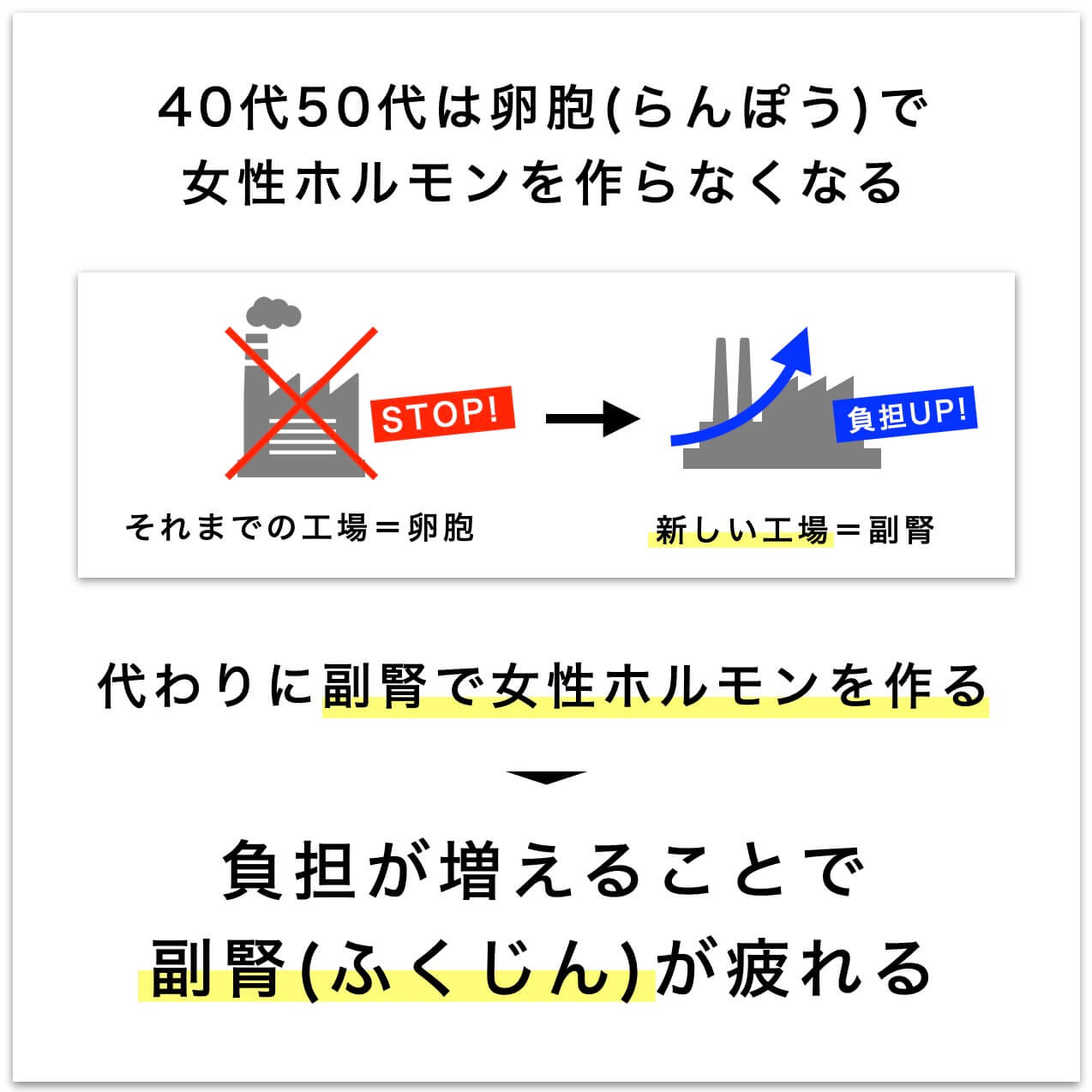 卵胞と副腎の説明をした図