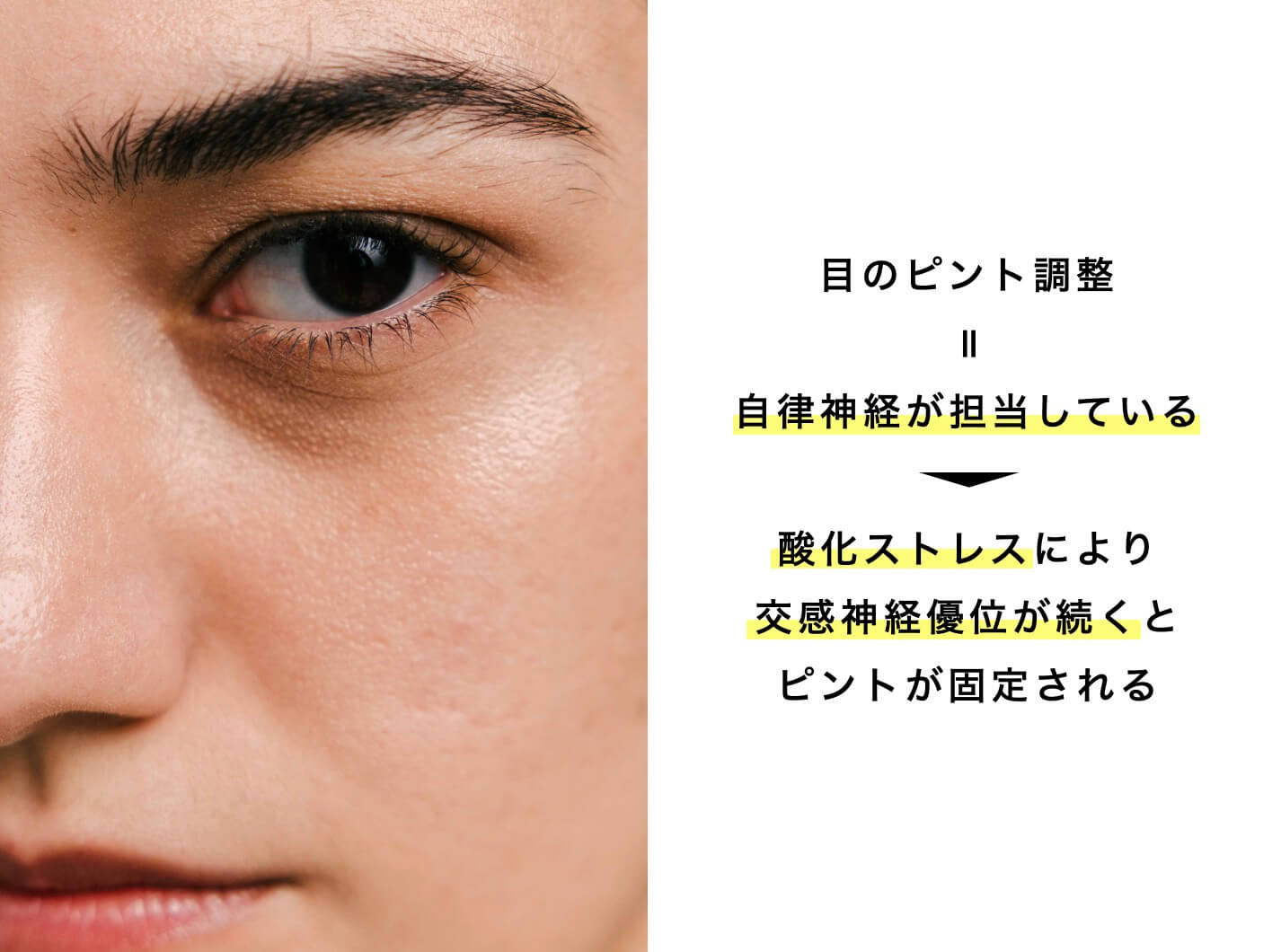 目のレンズ調整している説明