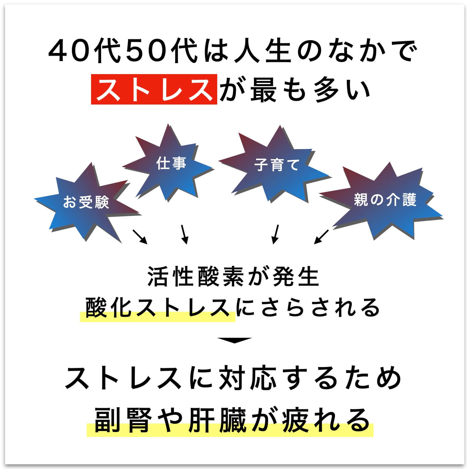 ストレスに対応するため副腎や肝臓が疲れる