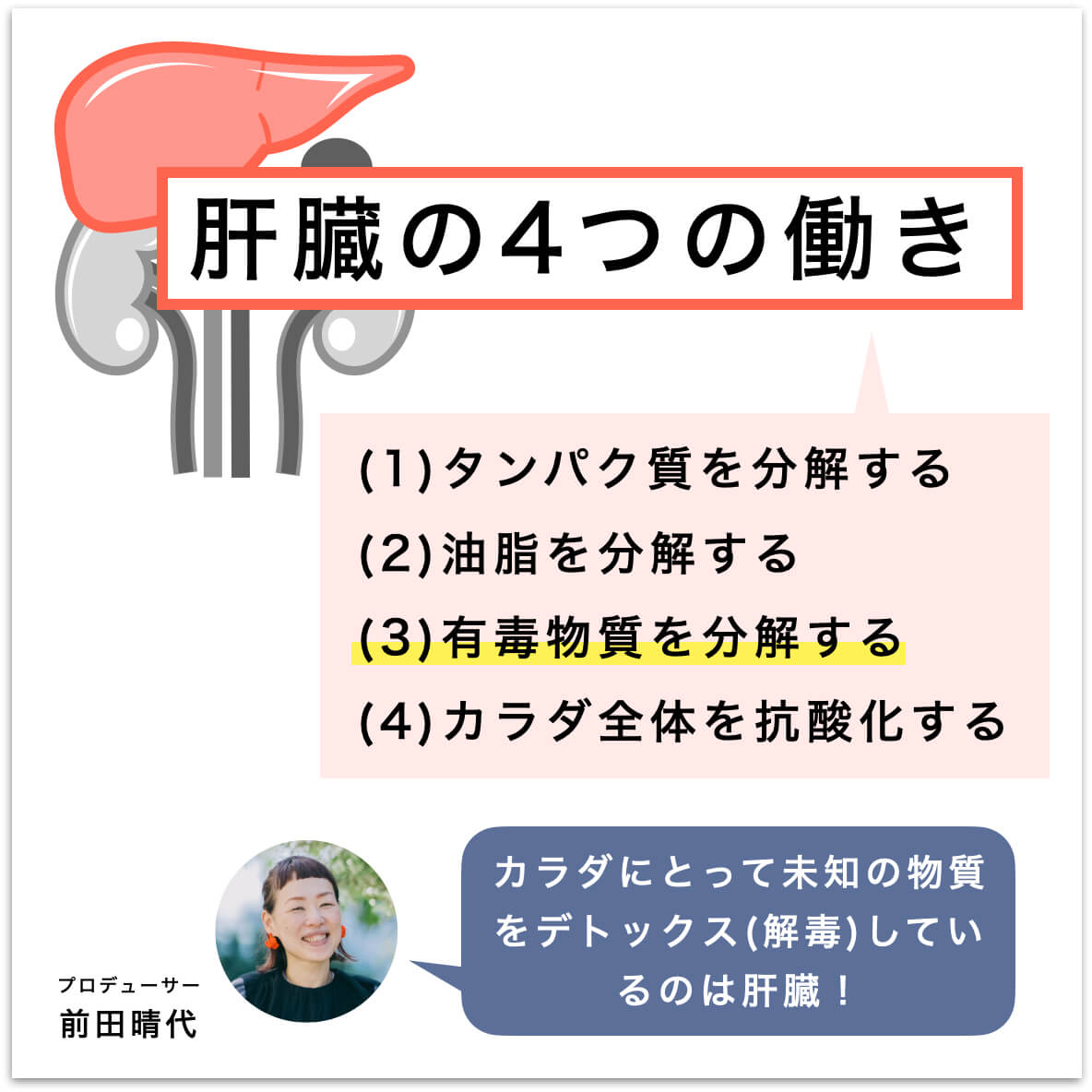 肝臓の４つの働きを説明した図