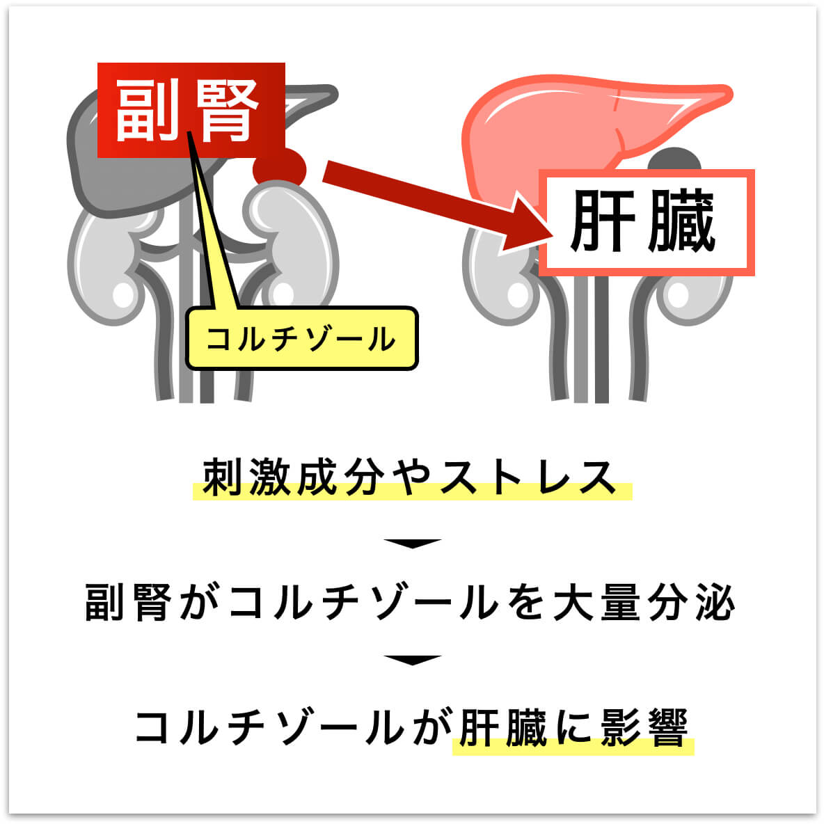 副腎とストレスの関係を説明した図