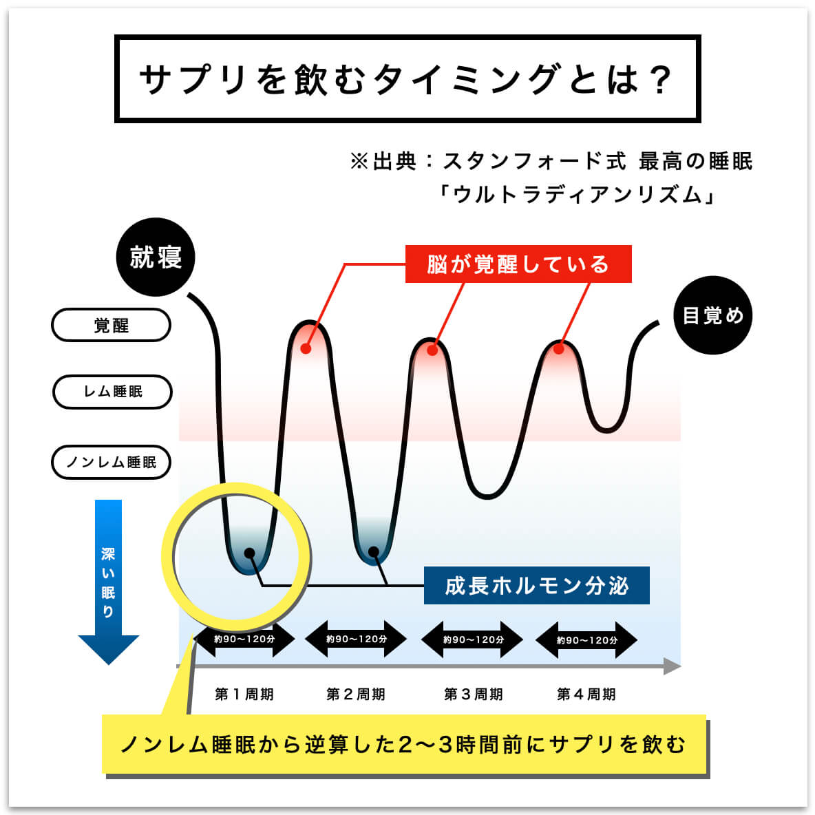 サプリを飲むタイミングが説明している図