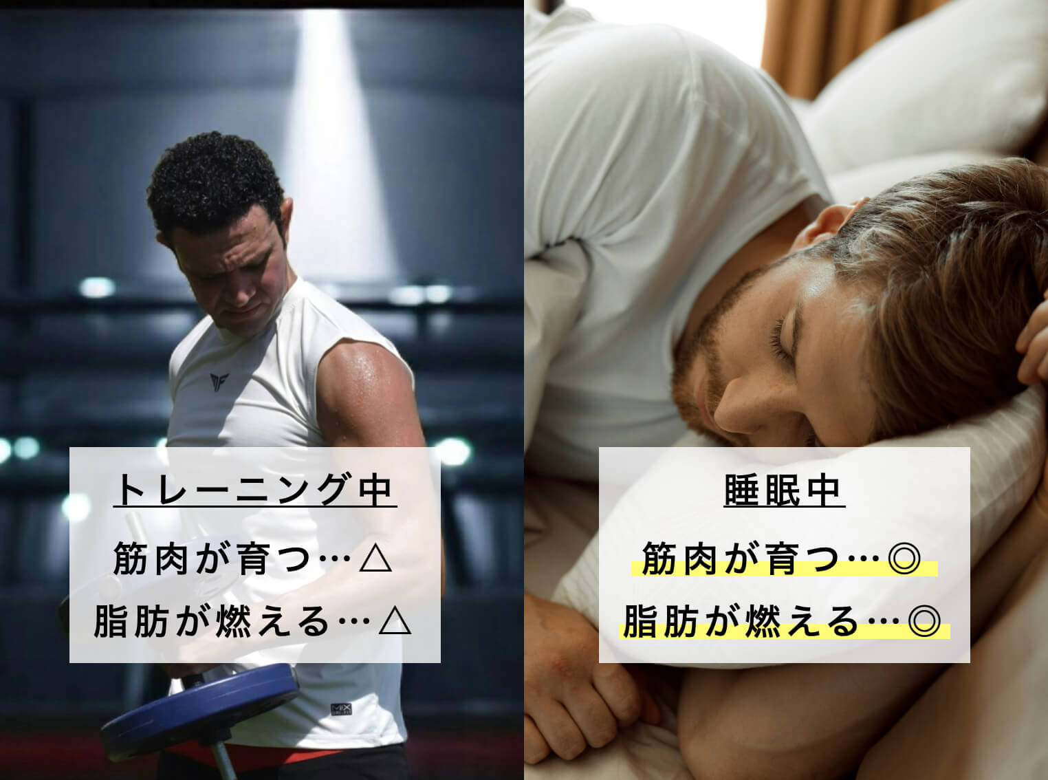 睡眠中と筋トレ中の脂肪が燃える比較