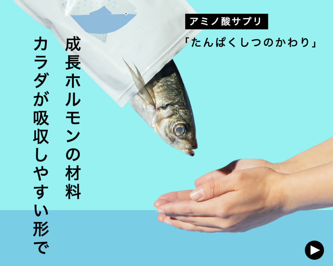 たんぱくしつのかわりサプリのイメージ図