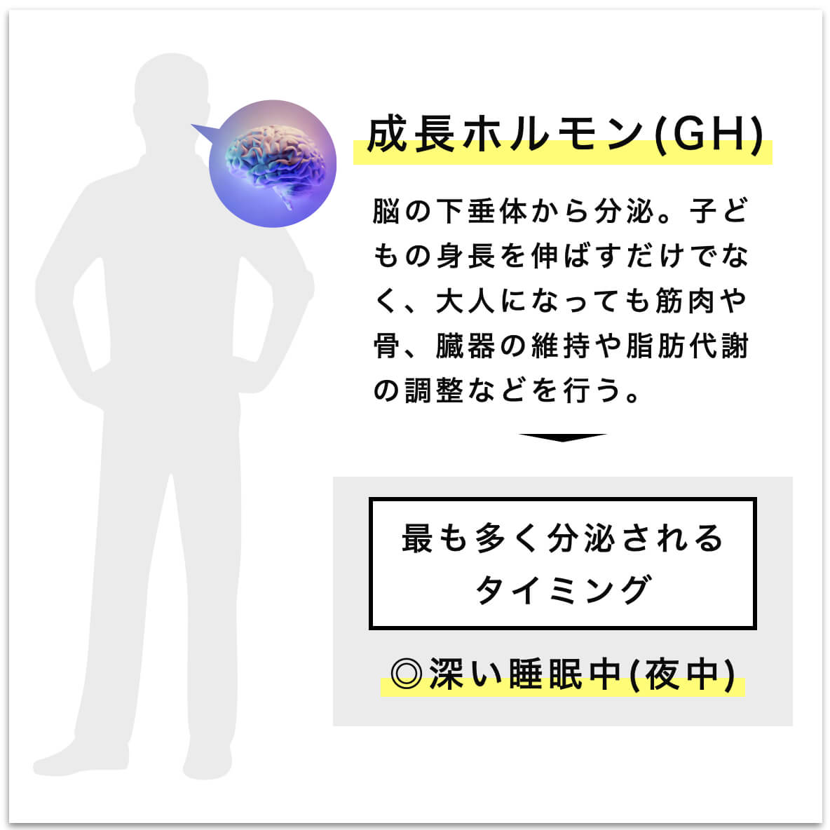 成長ホルモンのを説明している図