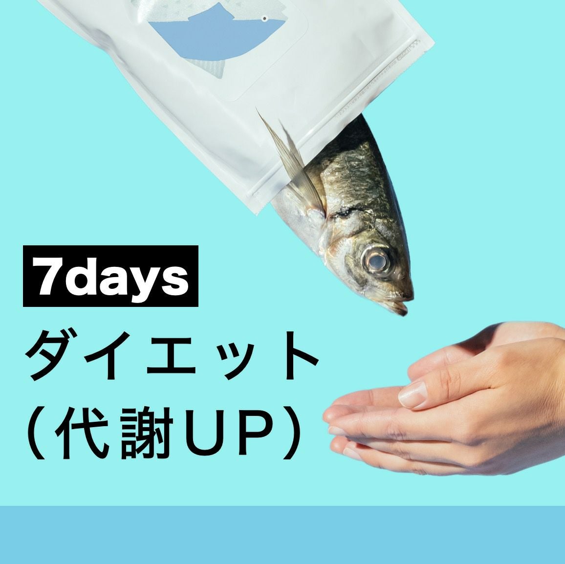 ダイエットプログラム