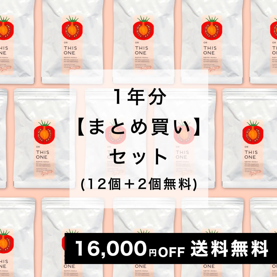【1年分12個＋2個無料】まとめ買い「なまやさいのかわり」14個セット 酵素消化サプリ