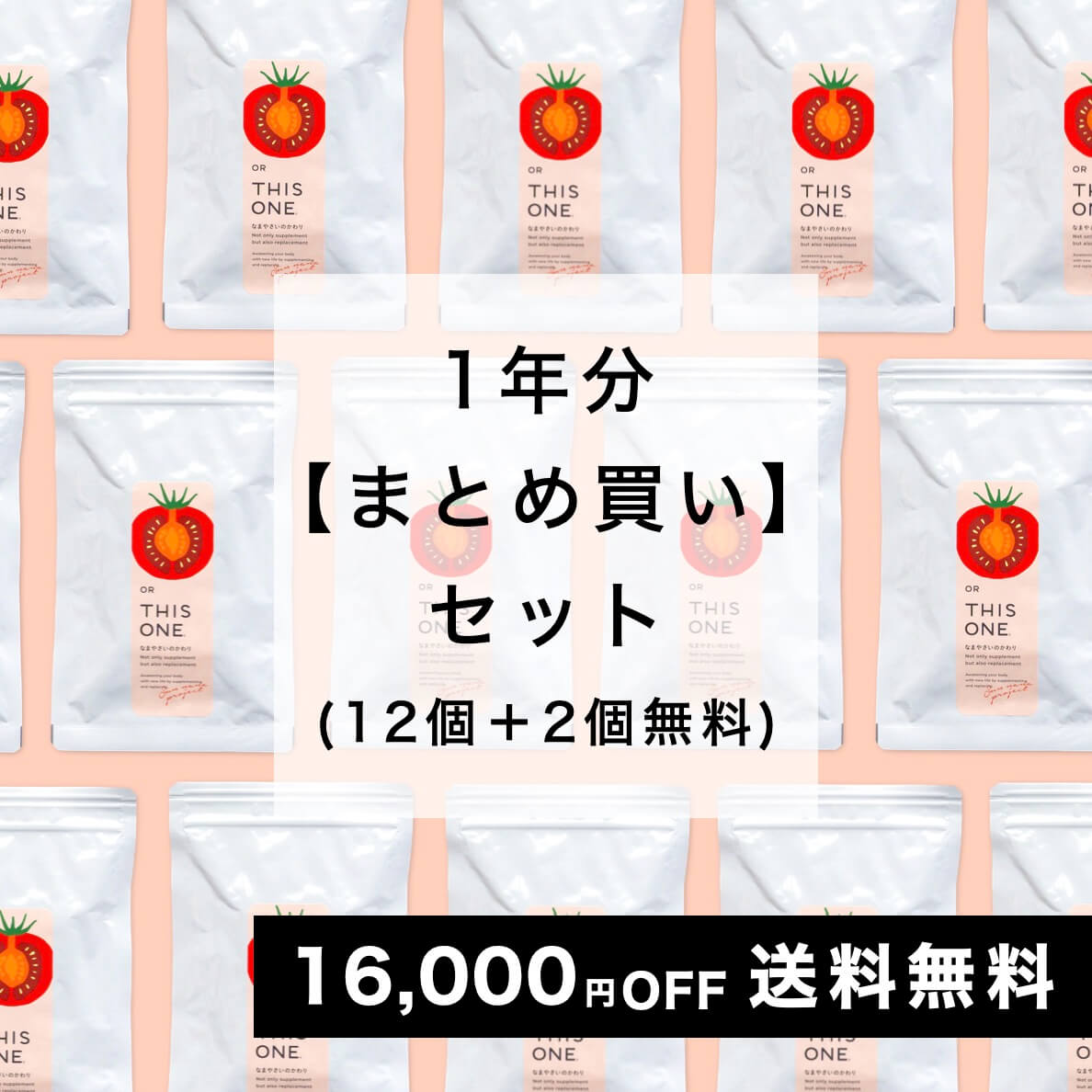 【1年分12個＋2個無料】まとめ買い「なまやさいのかわり」14個セット 酵素消化サプリ