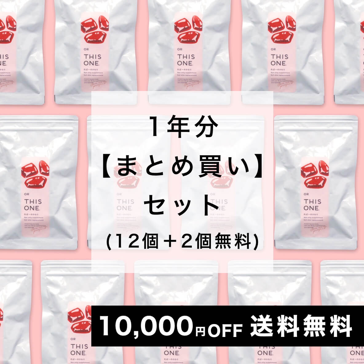 【1年分12個＋2個無料】まとめ買い「ればーのかわり」ヘム鉄亜鉛サプリ