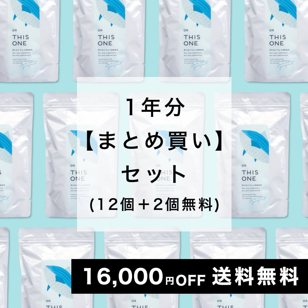 かいふくりょくのかわり1年間セット