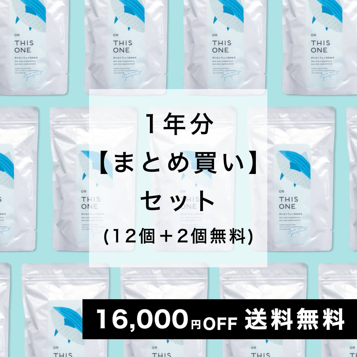 かいふくりょくのかわり1年間セット